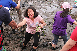 PhilHealth Employees Plant Mangroves in Navotas City